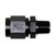 Adapter, -4AN » 1/8" MPT, BLACK