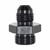 Adapter, -6AN Male » 3/8-19 BSPP Male