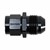 Adapter, -8AN Male » M14x1.5 Female, BLK