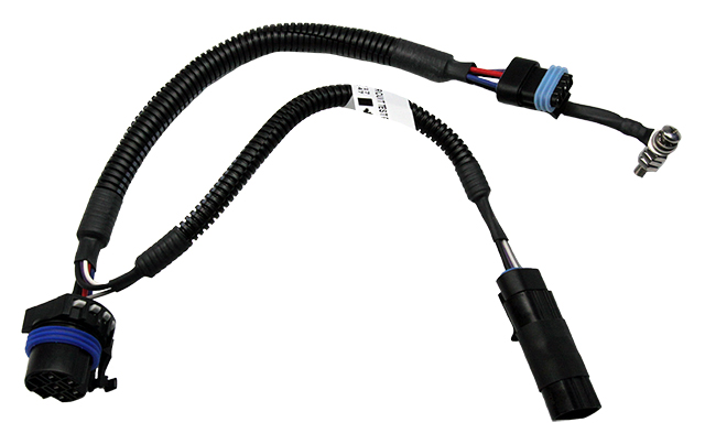 IDPH-C5-L.jpg