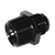 Adapter, -16AN Male » 1-1/4" MPT, Black Image 2