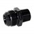 Adapter, -16AN Male » 3/4" MPT, BLACK Image 2