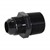Adapter, -12AN Male » 1" MPT, BLACK Image 2