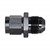Adapter, Exp -6AN Fml » -8AN Male, BLK Image 3