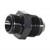 Adapter, -8AN Male » 3/8-19 BSPP Male Image 2
