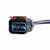 Dual In-tank Wiring Harness, APEX 2.8 6F » 2 x MP280S 2F DCSS 12" Image 1