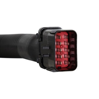 Universal Quad Heavy-Duty Fuel Pump Wiring Harness Image 4 Universal Quad Heavy-Duty Fuel Pump Wiring Harness Image 4